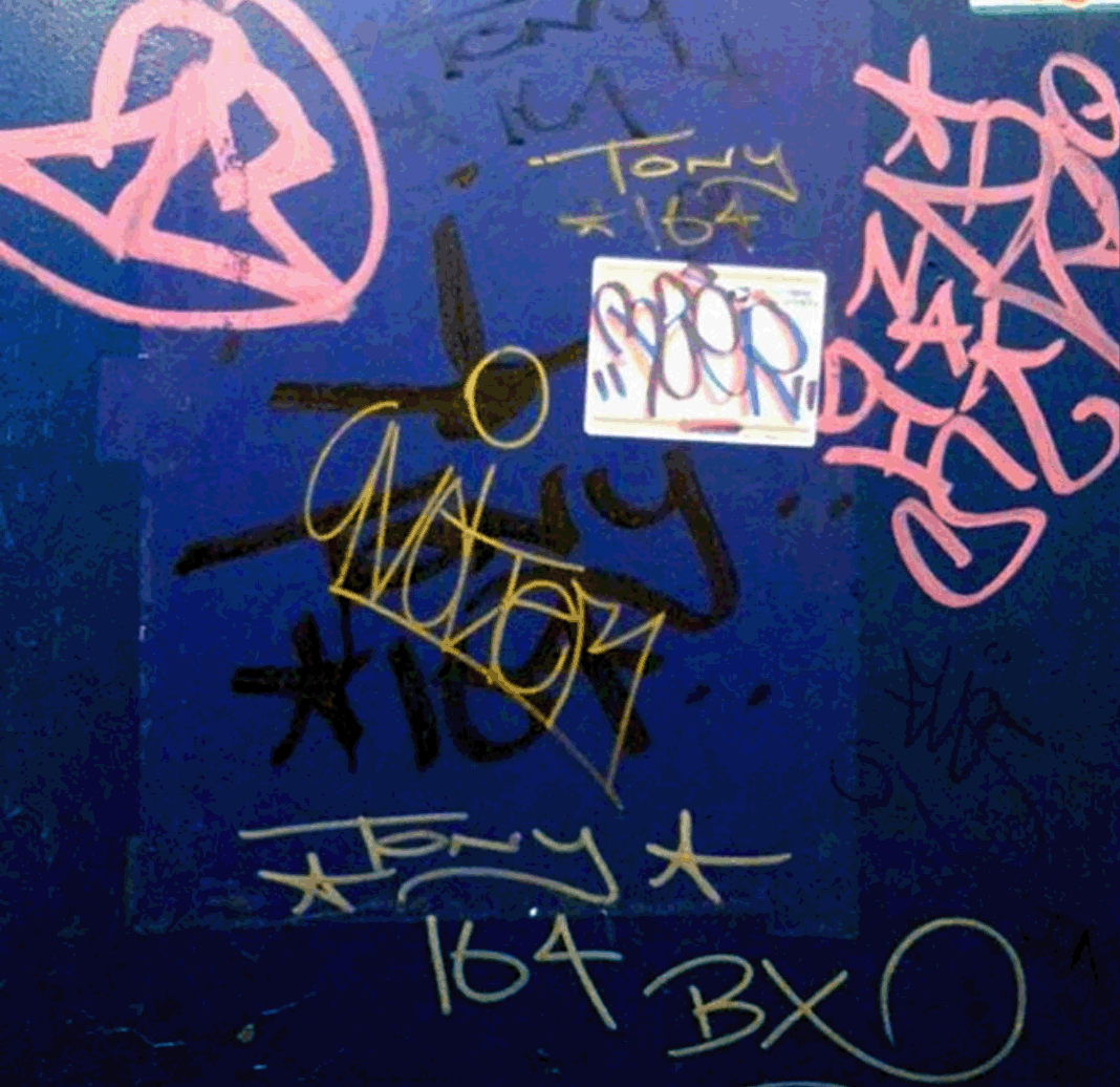 STREET GRAFFITI:  ZS NAK DIS · TONY 164 · 9VOLT