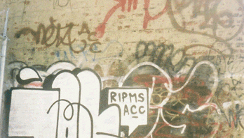 GRAFFITI: NIRO · NETA ACC · RAZE · CECS · QUEST