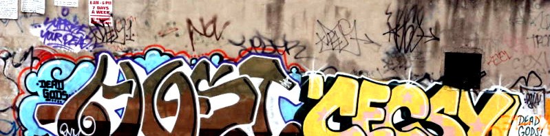 GRAFFITI: HOST · CECSY · NOV · FRITZ · VIN · FRAY