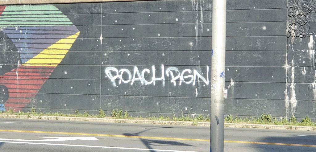 Street graffiti in Newark, NJ. A tag by Roach RGN ACC.