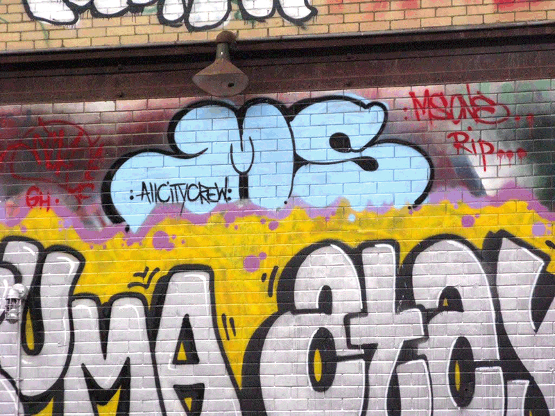 MS ALL CITY CREW by NETA ACC. A white fill-in with a black outline.
